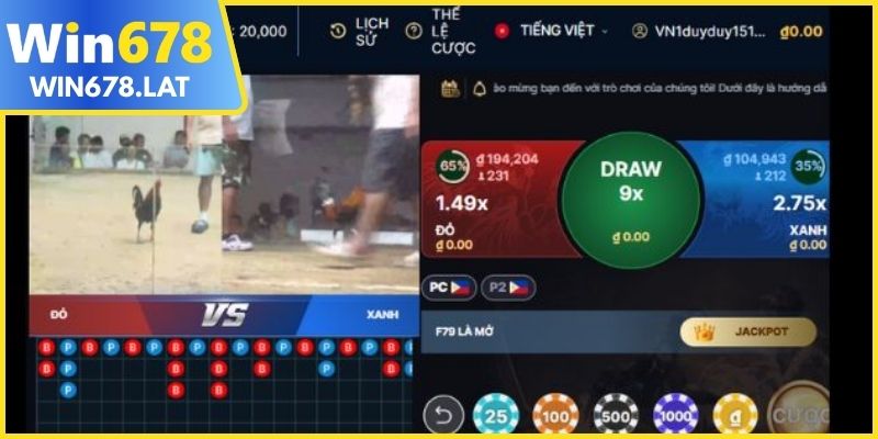 Đá gà trực tuyến đa dạng hình thức thi đấu cho bạn lựa chọn