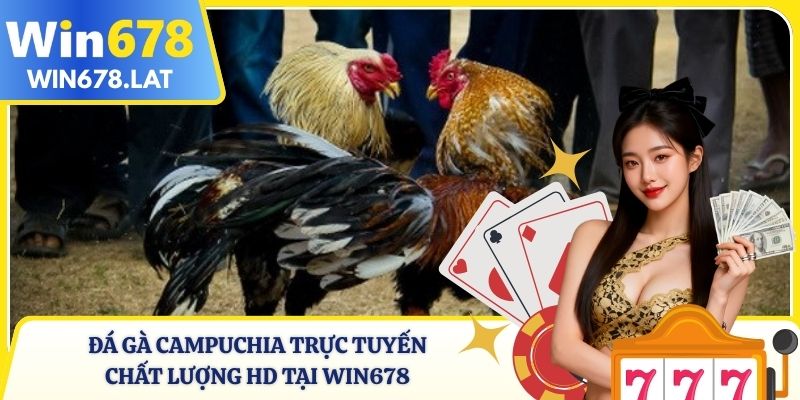 Đá Gà Campuchia Trực Tuyến