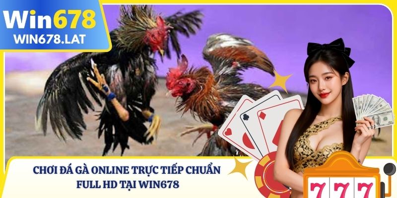 Đá Gà Online Trực Tiếp