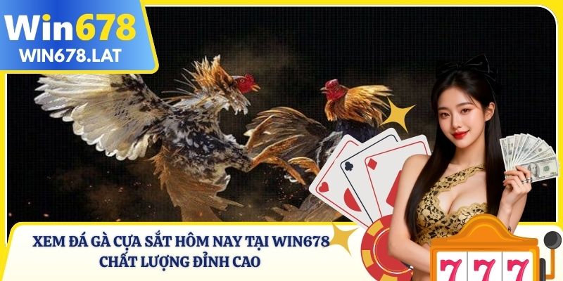 Xem Đá Gà Cựa Sắt Hôm Nay